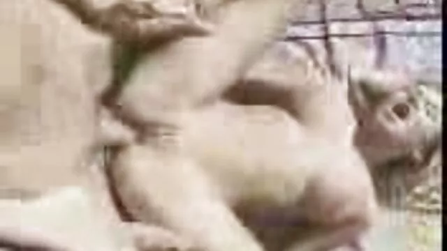دختر روسی سکس زنان کیر بزرگ نگاه